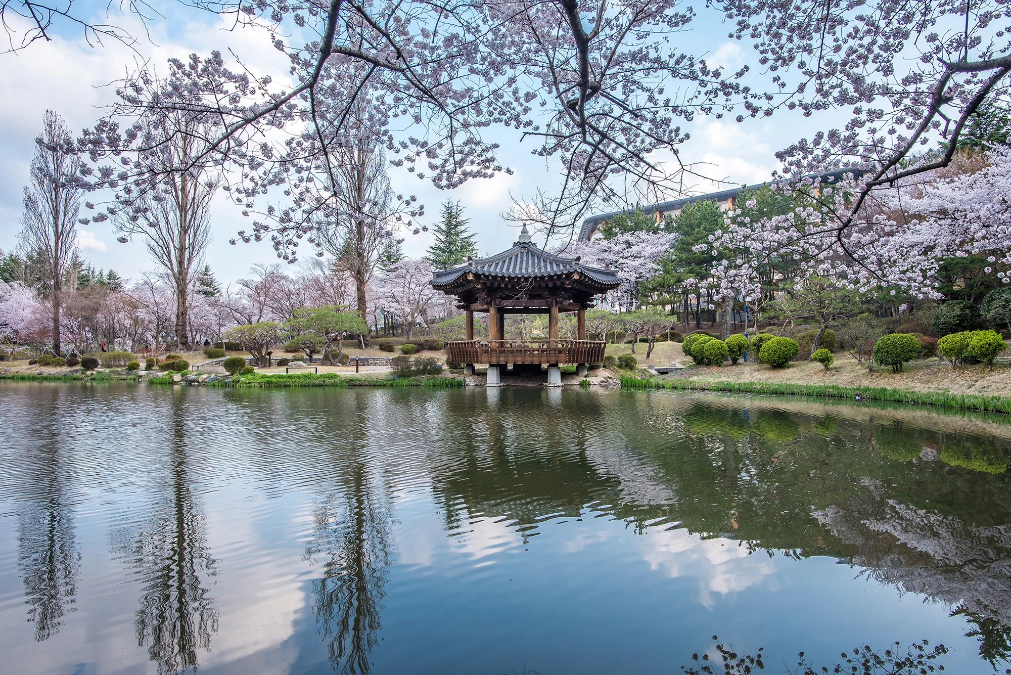 스페셜 사진5